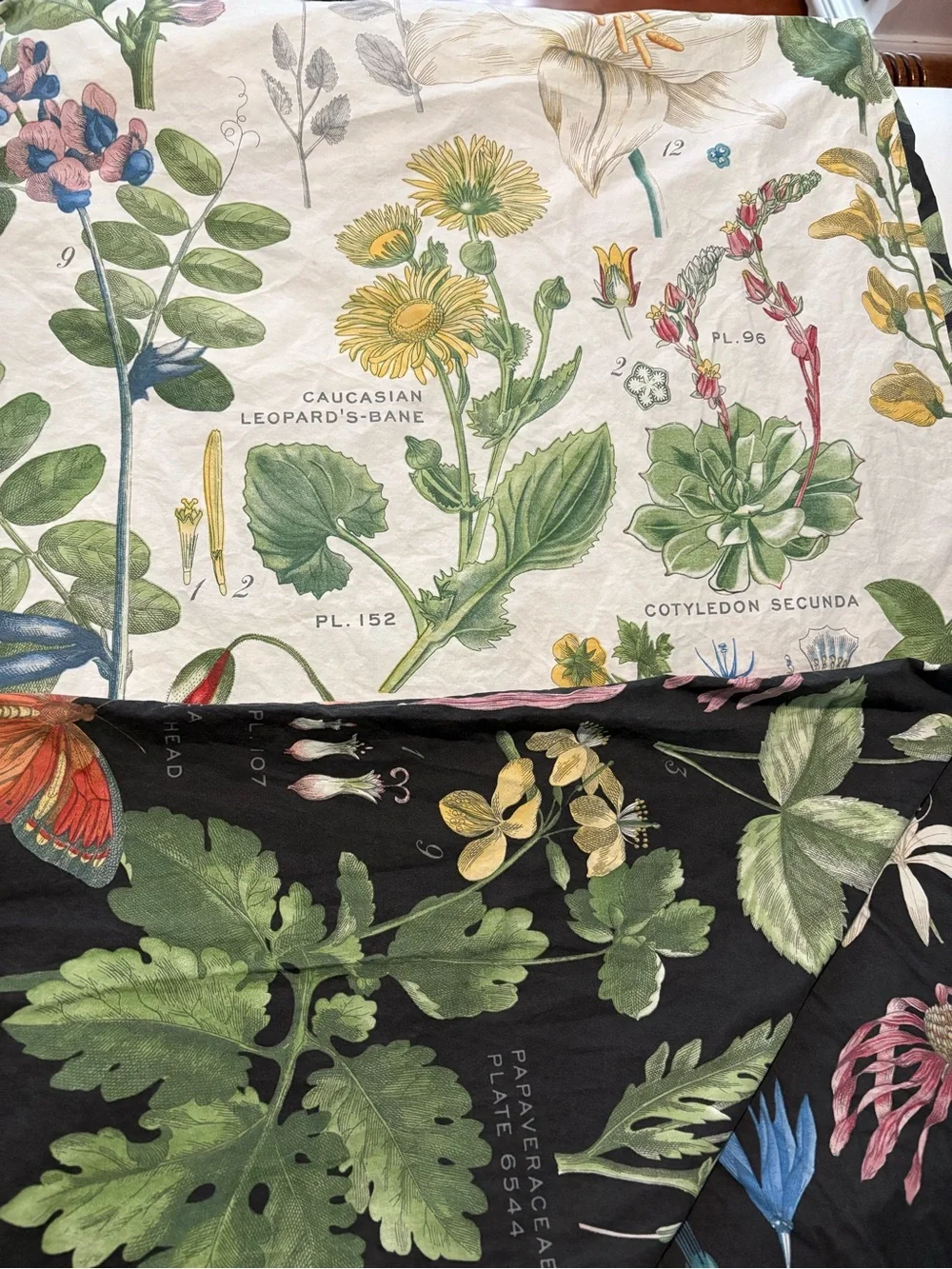 Pottery Barn King Duvet Botanical Print with 3 Euro Shams